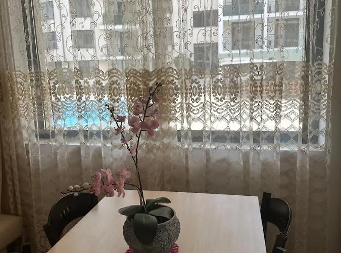 Avalon, C102 阳光海滩